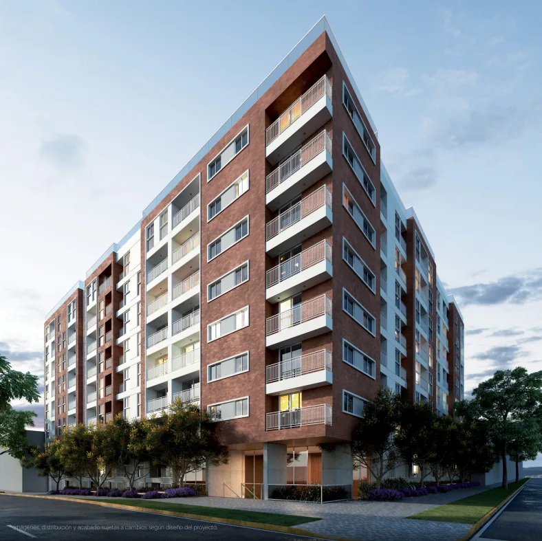 ACACIAS 353